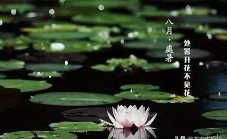 周六迎处暑,“处暑十八盆,白露勿露身”啥意思?处暑后还热吗?