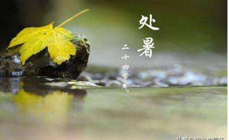 周六迎处暑,“处暑十八盆,白露勿露身”啥意思?处暑后还热吗?