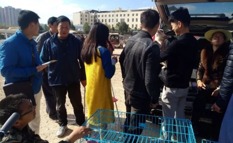小伙喜欢斗牛犬,便在狗市900元买下,觉得贵一点也无所谓!