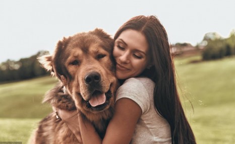 女孩子喜欢养大狗的6个原因，哪一点戳中你的心？