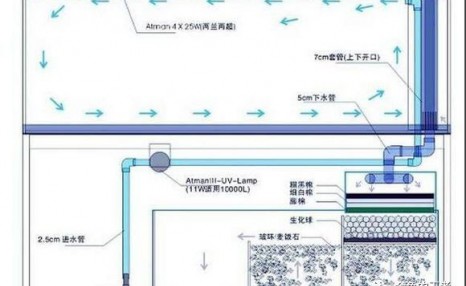 缸养金鱼该如何选择自己需要的过滤系统？（金鱼的王者）