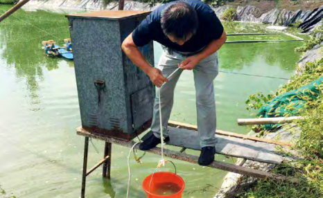 南美白对虾淡水零排放池塘生态高效养殖技术