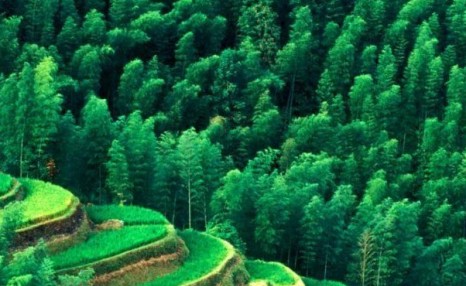 黑山羊养殖<a href=https://www.dadasou.com/news/142649.html target=_blank class=infotextkey>技术</a>和经验总结与注意事项! 有那些?