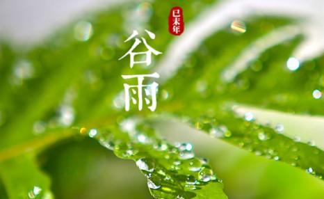 谷雨是什么时候，谷雨的气候特点有哪些