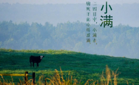 小满节气到,“小满”是什么意思?“小满见三新”是指啥呢?