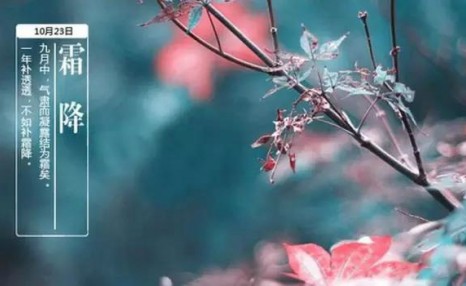 霜降是什么意思,原来还有这些意思!