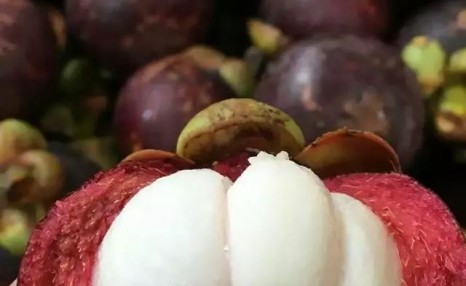 史上最全的海南水果，没有几个人是全部吃过的，特别是后面四种