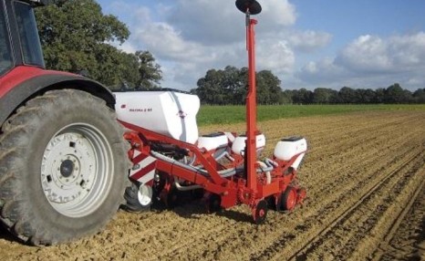 小麦种植技术，小麦种子高产新技术方案管理要点