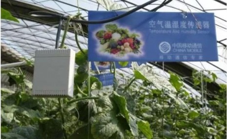 盘点2019!影响农业10大企业布局案例(附解读)