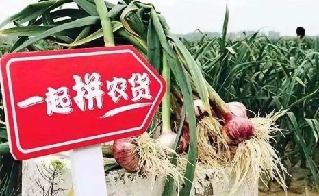 盘点2019!影响农业10大企业布局案例(附解读)