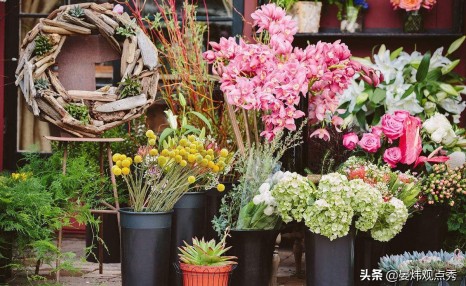 为什么情人节要送玫瑰花?鲜花产业的秘密了解一下?