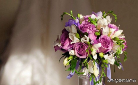 为什么情人节要送玫瑰花?鲜花产业的秘密了解一下?