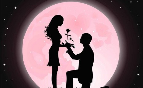 为什么情人节要送玫瑰花?鲜花产业的秘密了解一下?