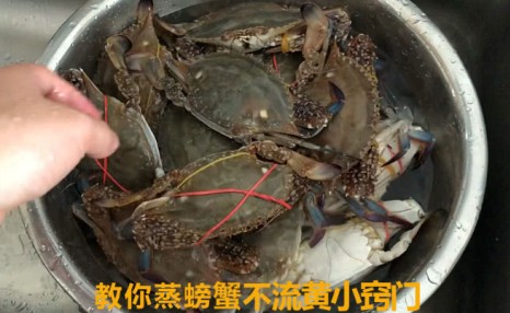 这才是清蒸螃蟹的正确做法，不流黄不掉腿没腥味，好吃到流口水！