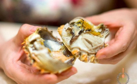 优雅的吃螃蟹一点肉都不浪费，最讲究的吃法，要学一下
