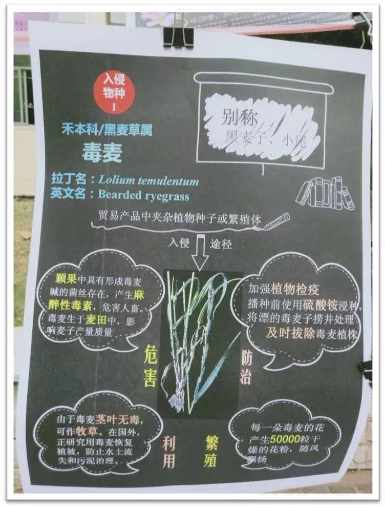 这样的农业科普,给我来一打