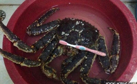 帝王蟹怎么做好吃?香辣帝王蟹的做法