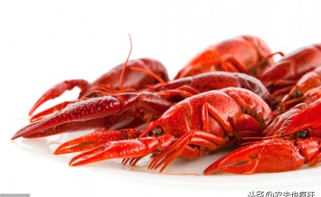 小龙虾价格跳水，最低6元一斤，为何今年的小龙虾价格便宜？