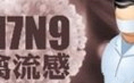 如何有效预防禽流感?