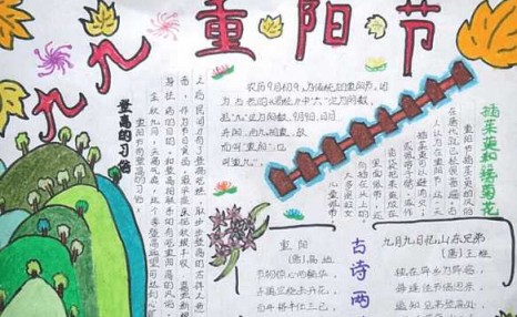 重阳节手抄报可以写什么内容（重阳节手抄报内容资料）