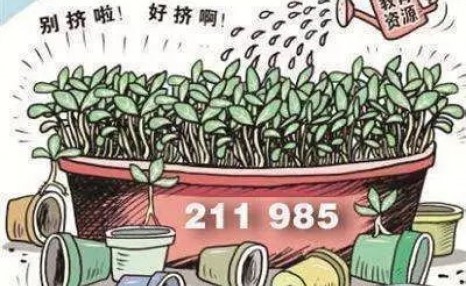 “211”大学与“985”大学区别是什么？看完就知道高考的残忍