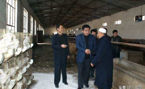 外面生意不好做,回农村这10个项目赚钱就不难