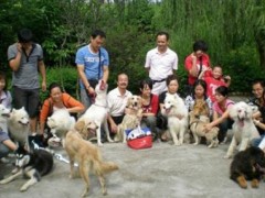 农村做什么生意好挣钱?这10个项目就值得入手