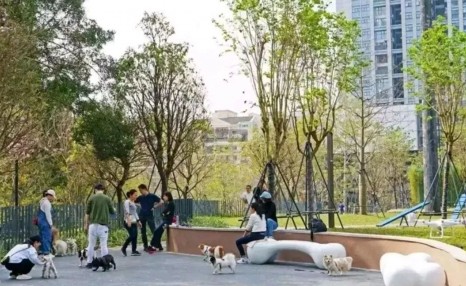 云南回应禁止遛狗第3次直接捕杀！为什么有些公园禁止遛狗？