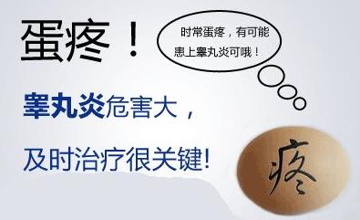 睾丸炎的食物治疗方法(睾丸炎吃什么药最有效)