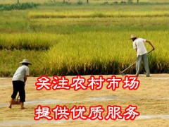 2021在农村有什么可以发展的?在农村有什么致富的好方法?