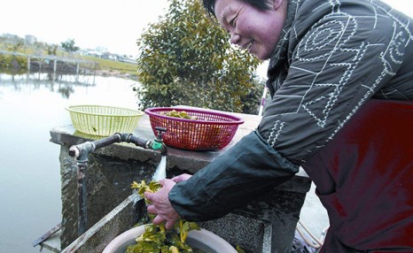 农村用水氟超标？国家出手，2020解决6000万农村人口饮水问题