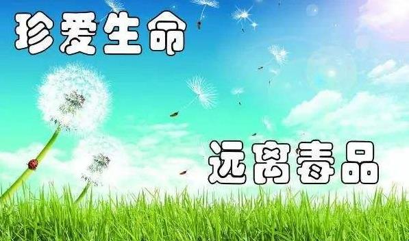 禁毒是全社会的（禁毒是全社会的共同责任）