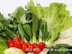 无公害蔬菜广受大家青睐