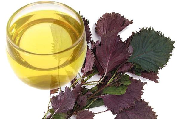 紫苏籽油市场价格多少钱一斤 紫苏籽油怎么吃
