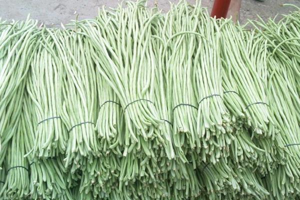 豇豆市场价格多少钱一斤
