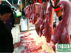 春节临近各省区猪价涨势强劲
