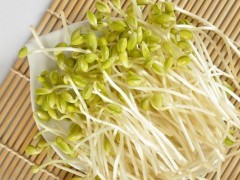 绿豆芽市场价格多少钱一斤