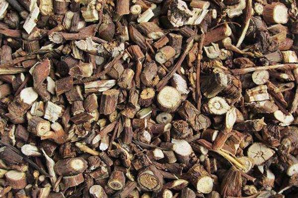 柴胡种子市场价格多少钱一斤 柴胡种子处理方法