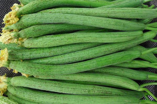 丝瓜市场价格多少钱一斤