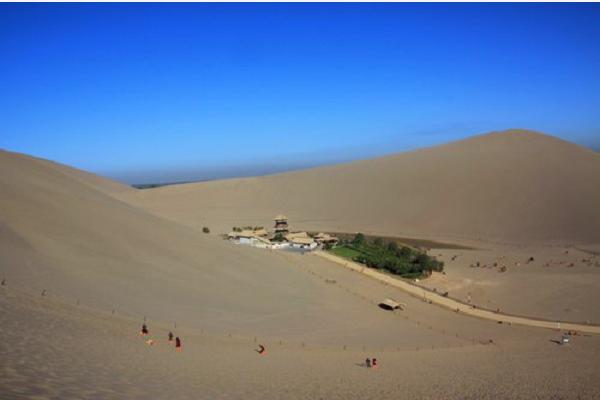 沙漠种植水稻初获成功引发关注