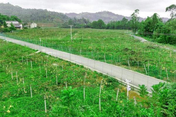 种植合作社业务范围