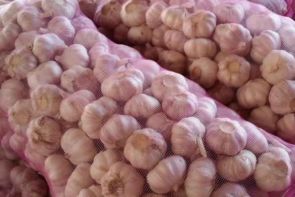 金乡大蒜价格多少钱一斤