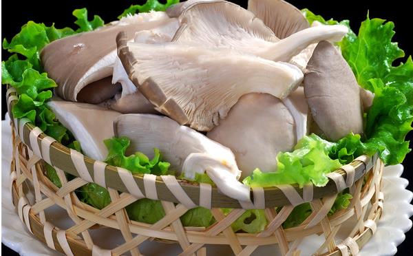 平菇菌种市场价格多少钱一斤 平菇菌种的优劣判断