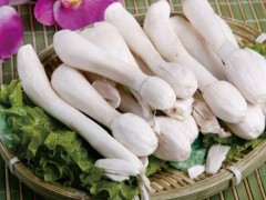 鸡腿菇市场价格多少钱一斤,鸡腿菇的保存方法