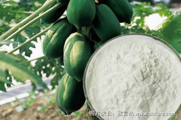 木瓜蛋白酶价格多少钱一斤