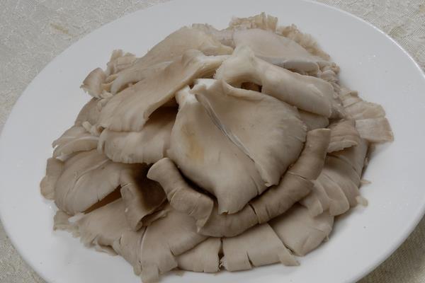 平菇市场价格多少钱一斤 平菇的挑选方法
