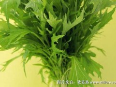 雪菜价格多少钱一斤