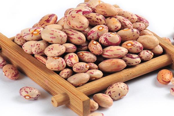 芸豆价格多少钱一斤