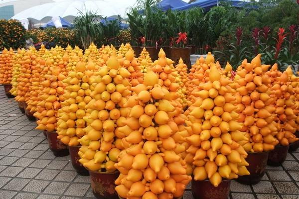 黄金果市场价格多少钱一斤 黄金果是什么