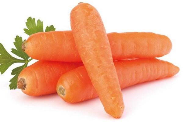 胡萝卜价格多少钱一斤